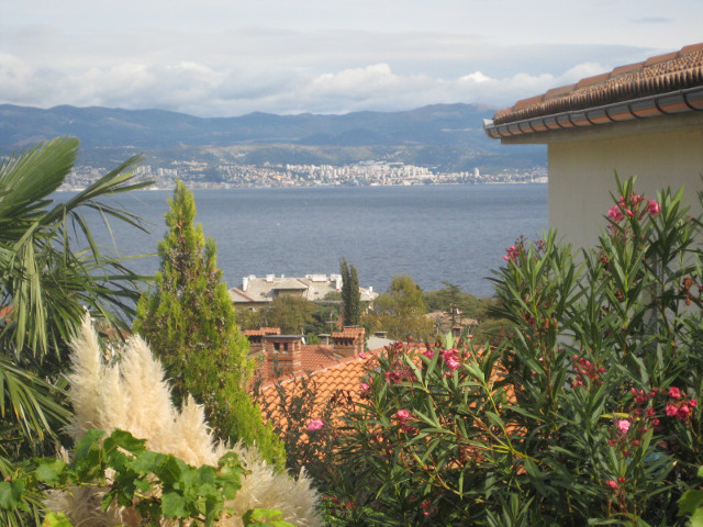 across the ggulf kvarner gulf, behind pampas grass