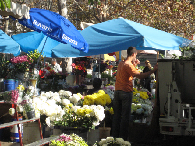 Flower market flower sellers under umbrellas on a crowded sidewalk