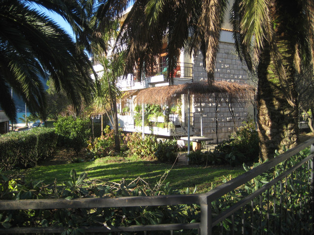 House near the water Two-storey house with palms