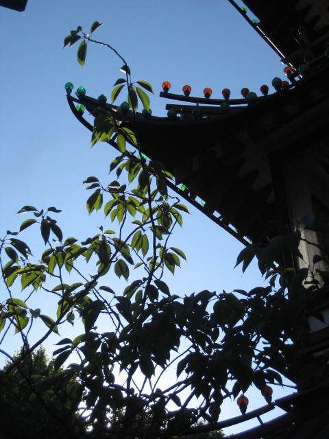 Pagoda Silhouette pointed pagoda roof and leafy branch