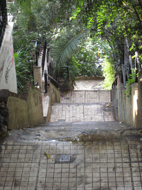 Stair Street Looking down tree-shaded stairs