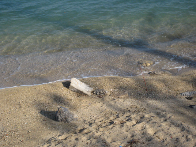 Harbor's Edge Clear shallow ocean lapping tan sand.