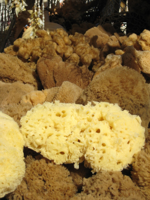Sponges at a Vendor's Stall Off-white annd brown sponges