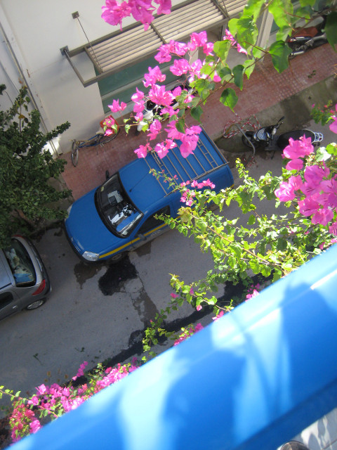 Looking down from home blue car, lavender bougainvillas, blue car 4 floors down