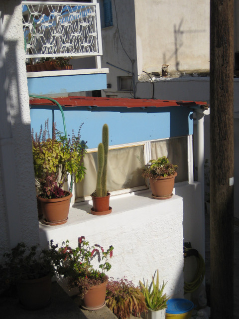 Somebody's House whitewashed ledge with potted plants