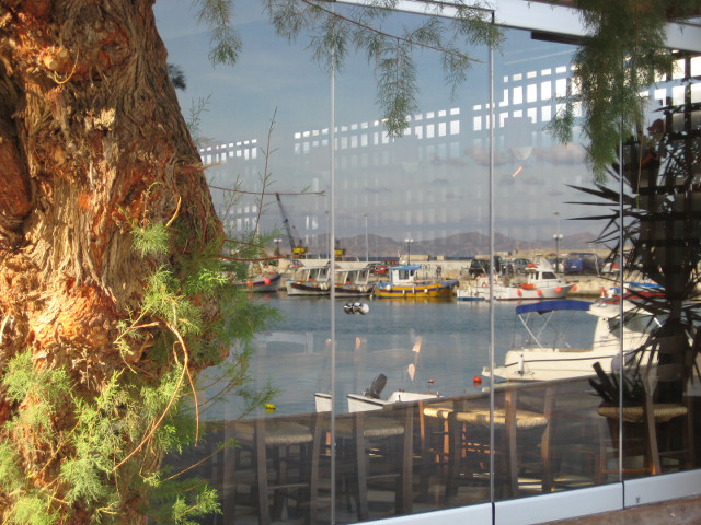 Reflections in a prefab Tree in front of window reflecting harbor