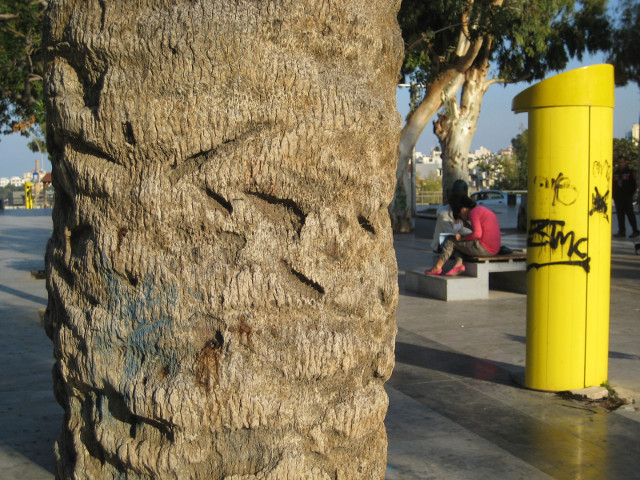 Eleftherias Plaza trees and yellow column
