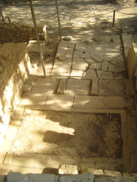 Digs looking down under an excavation shelter