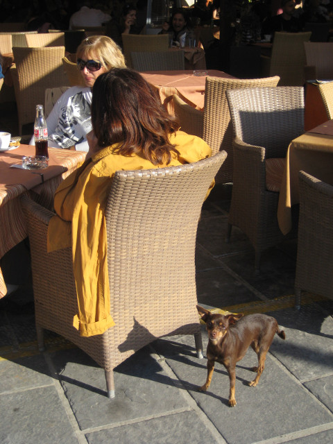 Harborfront Cafe women in wicker chairs, and chihuahua