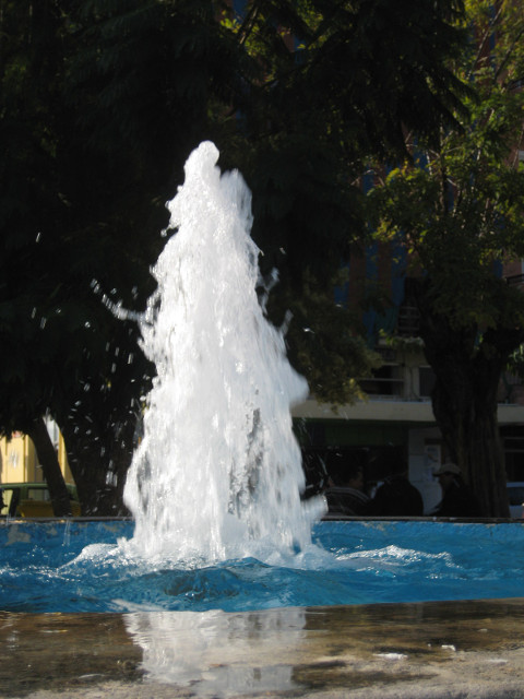 Modest Fountain lumpy vertical water jet with dark tree background