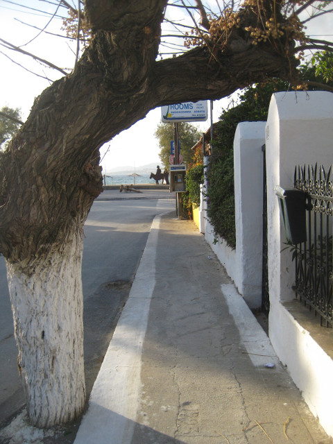 toward Sandy Beach narrow sidewalk with arching tree. siilhouette of burro sculpture in distance