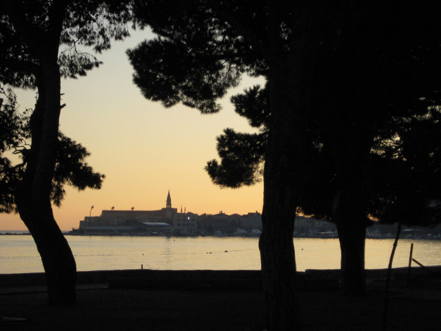 sunset from the beach long view of old city framed by cypress trees