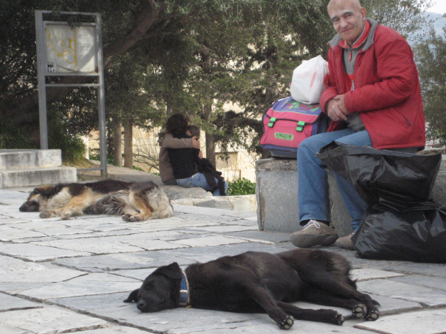 Old man, young couple, two dogs old man sitting on a wall, dogs sleeping, couple necking