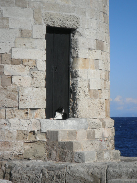 Watch Cat cat napping in doorway of small stone tower.