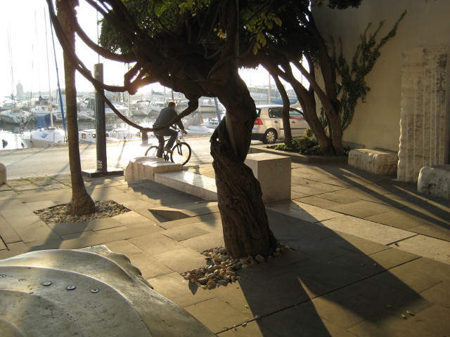 Piran Small Square Small plaza, tree, silhouette of bicyclist