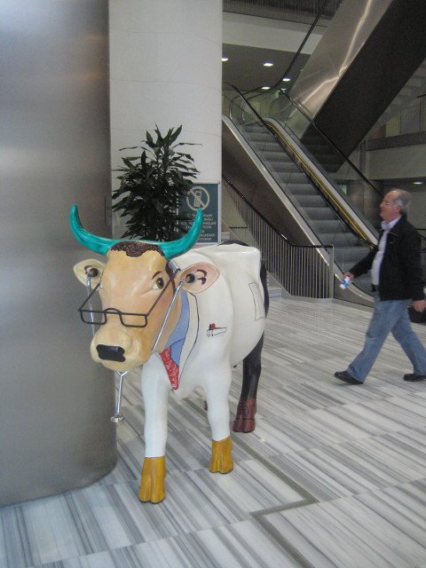 Lobby, American Hospital Plastic cow in lab coat with stethescope, in modern lobby