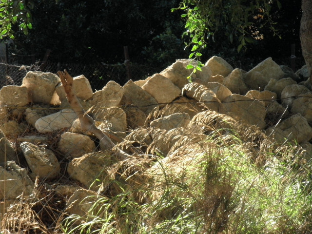 Rocky Wall pale piled-stone wall behind back-lighted grasses