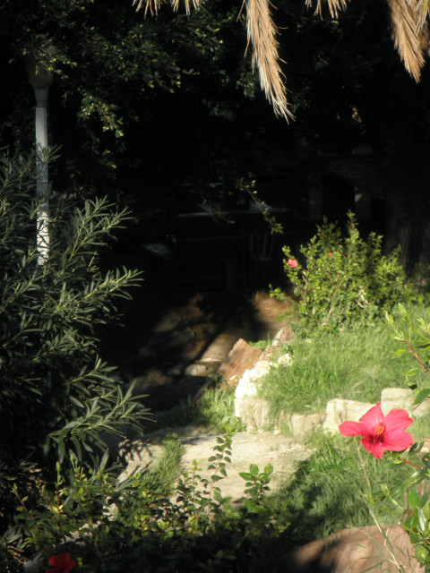 Space in the Flora dark space between palm fronds, oleander, grasses and a hibiscus