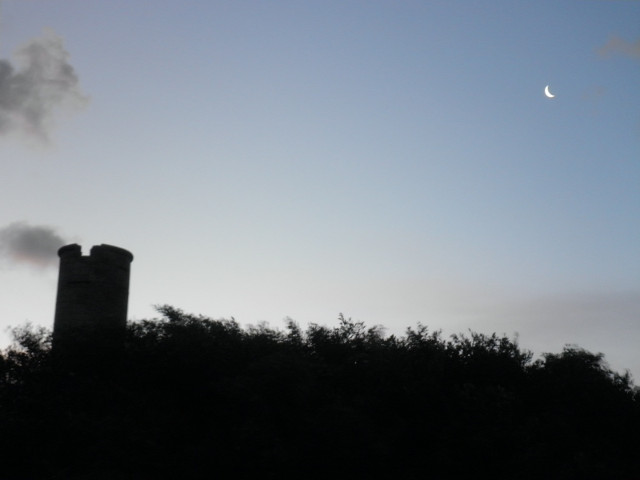 Last Quarter Moon moon behind silhouette of trees and tower