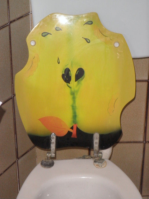 home sweet bathroom gaily painted toilet seat lid