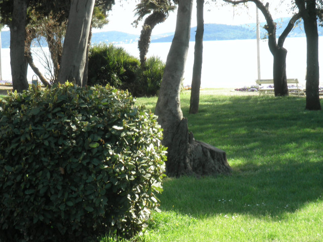 Zadar Waterfont Park Grass trees water and islands