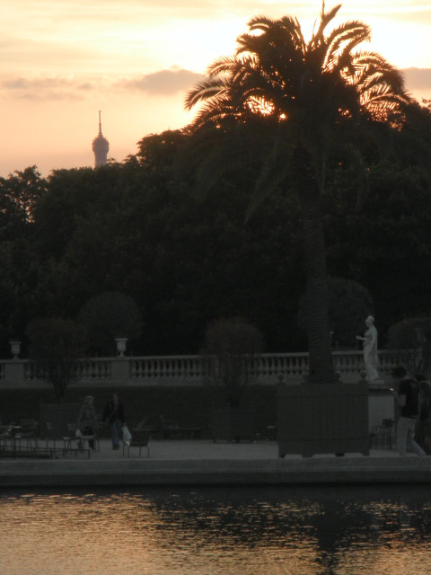 Eiffel Tower Tip of Eiffel Tower beyond silhopuetted trees at sunset