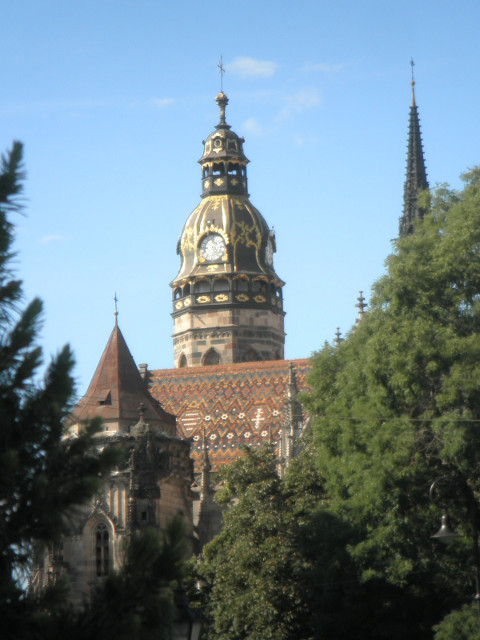 St. Elizabeth's Cathedral ornate gothic church
